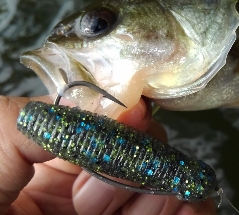 バス釣り最強ワームはこれだ！新作から安い釣れるワームまで徹底紹介！