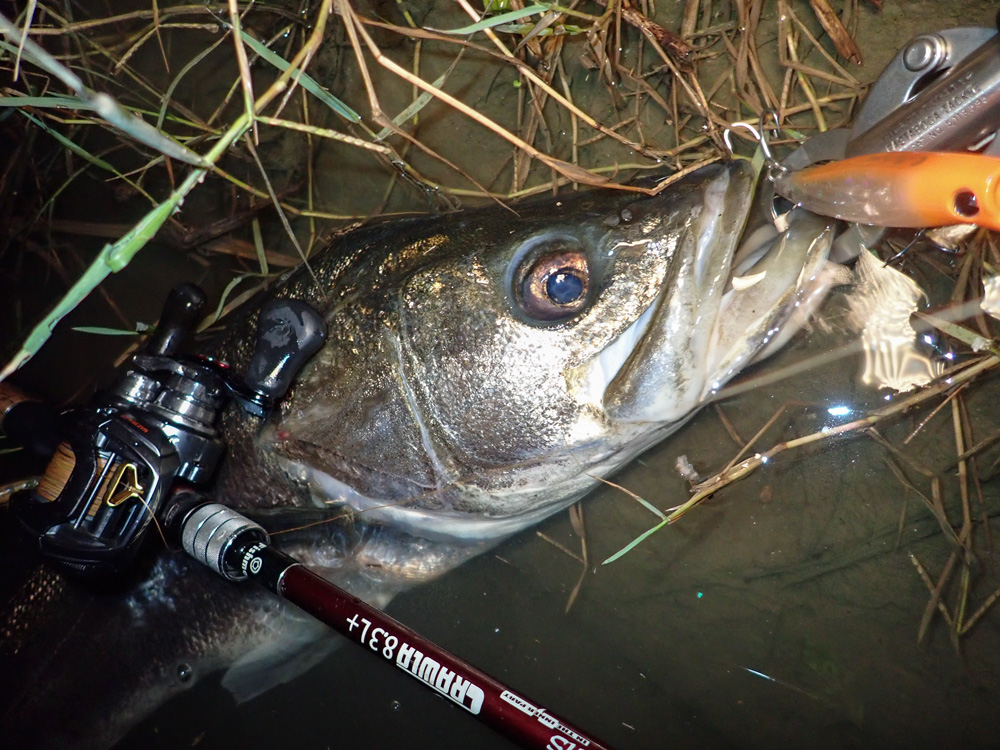 クローラ8.3L+とベストマッチなルアー紹介 - Fishman（フィッシュマン）