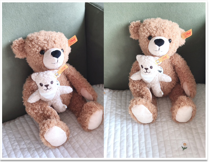 シュタイフ くまモン 10周年記念モデル 20cm EAN679001