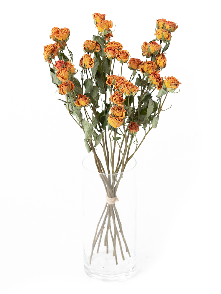 ドライ】スプレーバラ(オレンジ) 品種おまかせ【50cm】｜Flower Smith