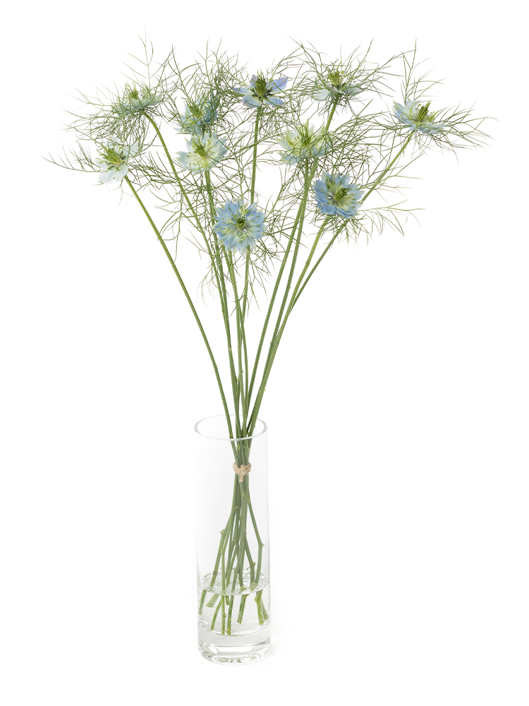 生花】ニゲラ(青) 品種おまかせ【50cm/北海道】｜Flower Smith Market