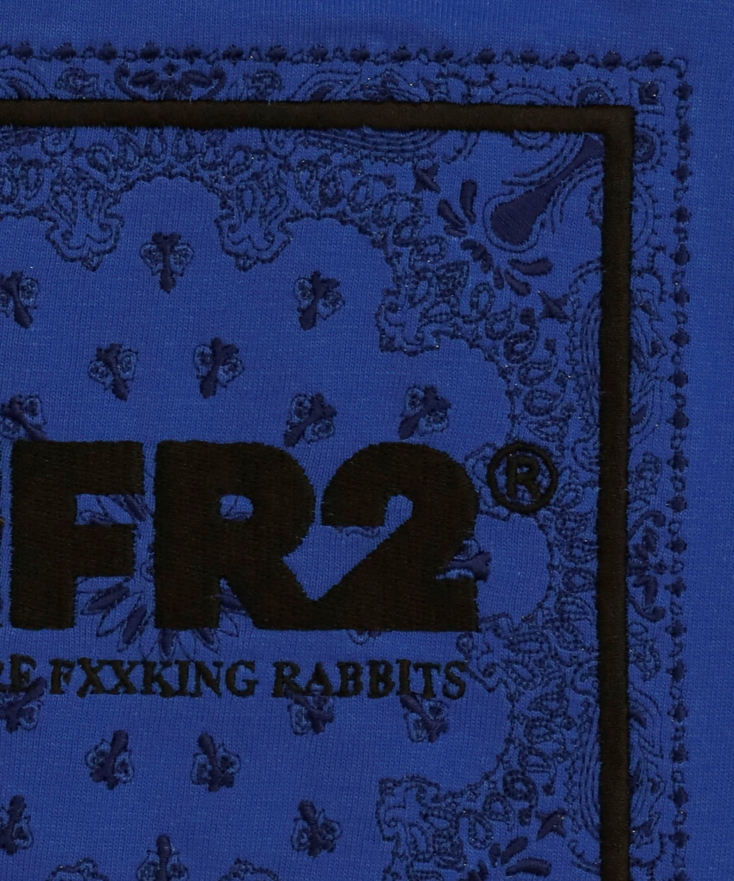 Embroidery Box Paisley Logo T-shirt – #FR2