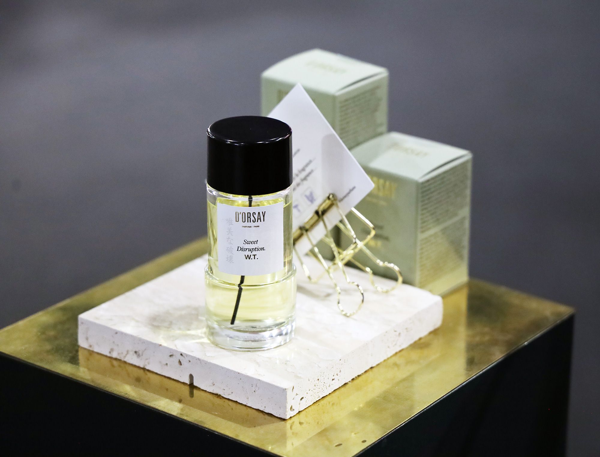 Sweet Disruption W.T. D'ORSAY: In Search Of Quiet Beauty