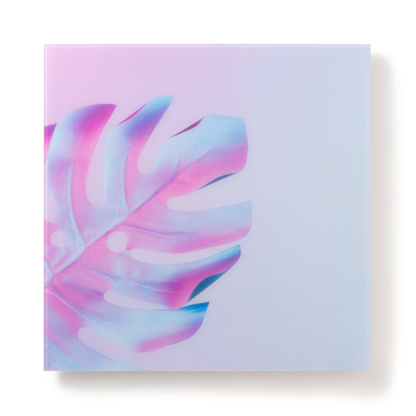 アクリルアート モンステラA | Francfranc（フランフラン）公式通販