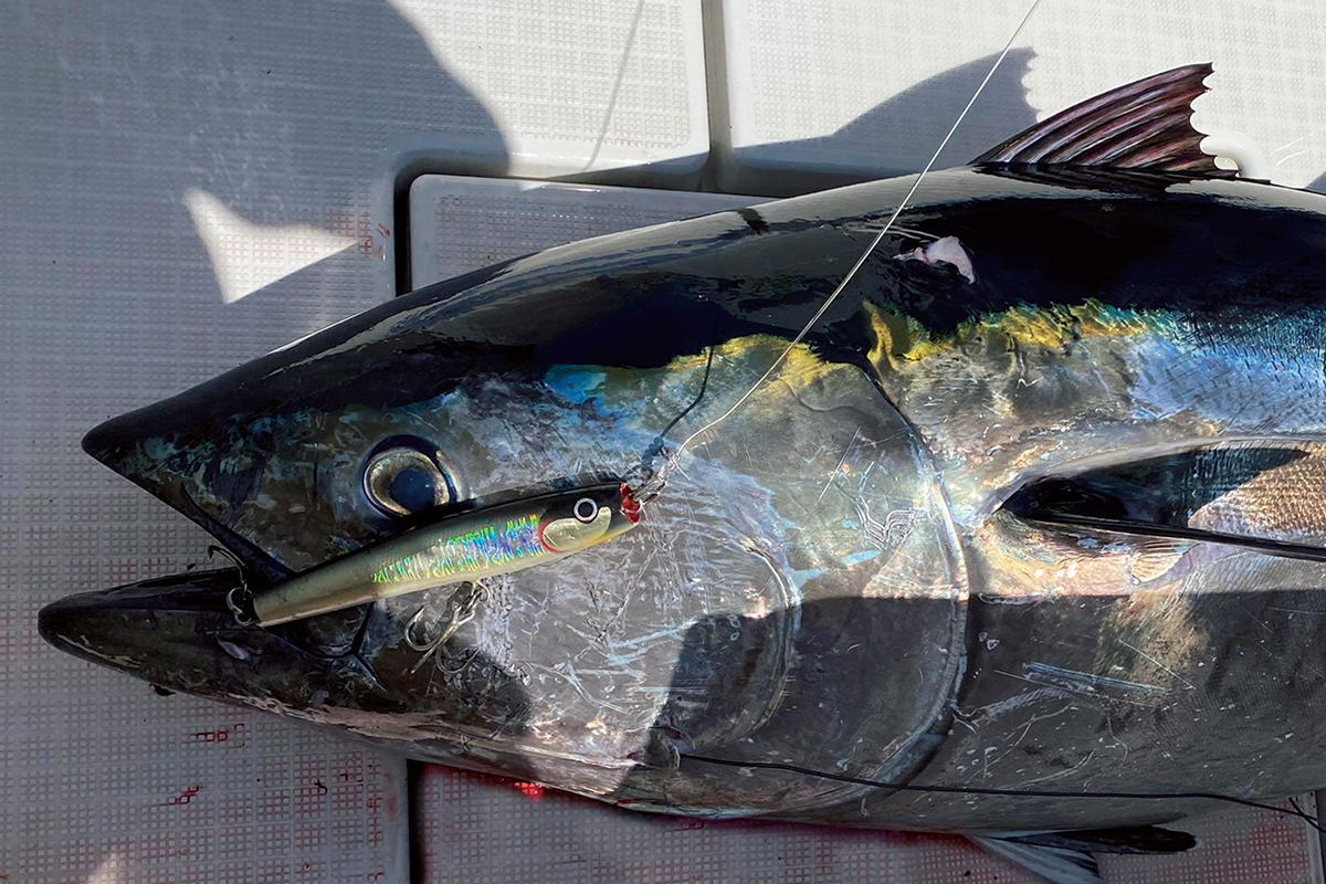 マグロルアー マグロルアー マグロルアー TROUT ZX | PRODUCTS | trout