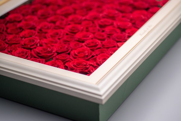 特注サイズ：108本のバラ】プリザーブドフラワー