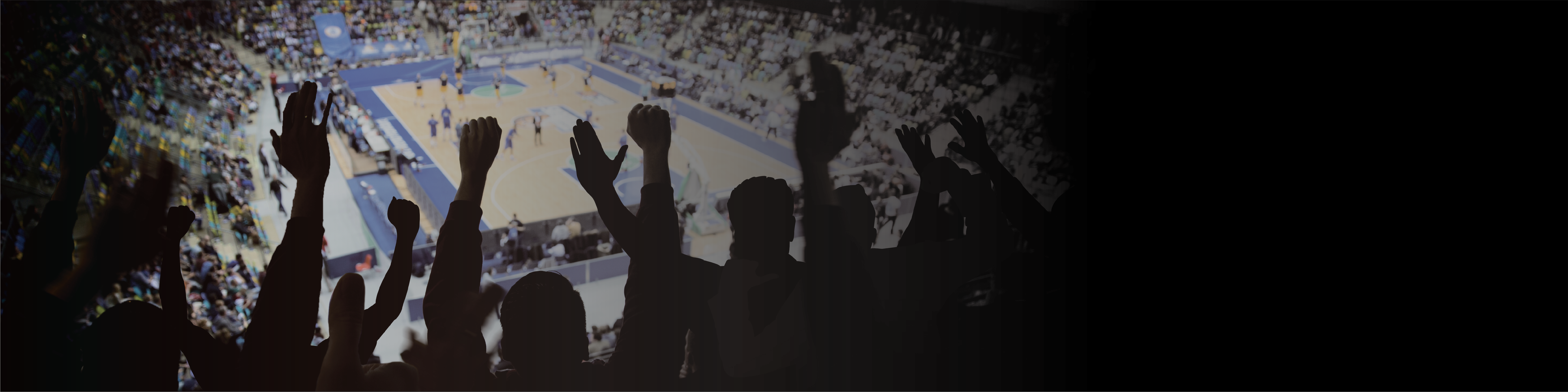 GOODS | 徳島ガンバロウズ