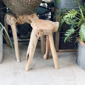 STAFFのおすすめ VOL.13 | garage living with plants