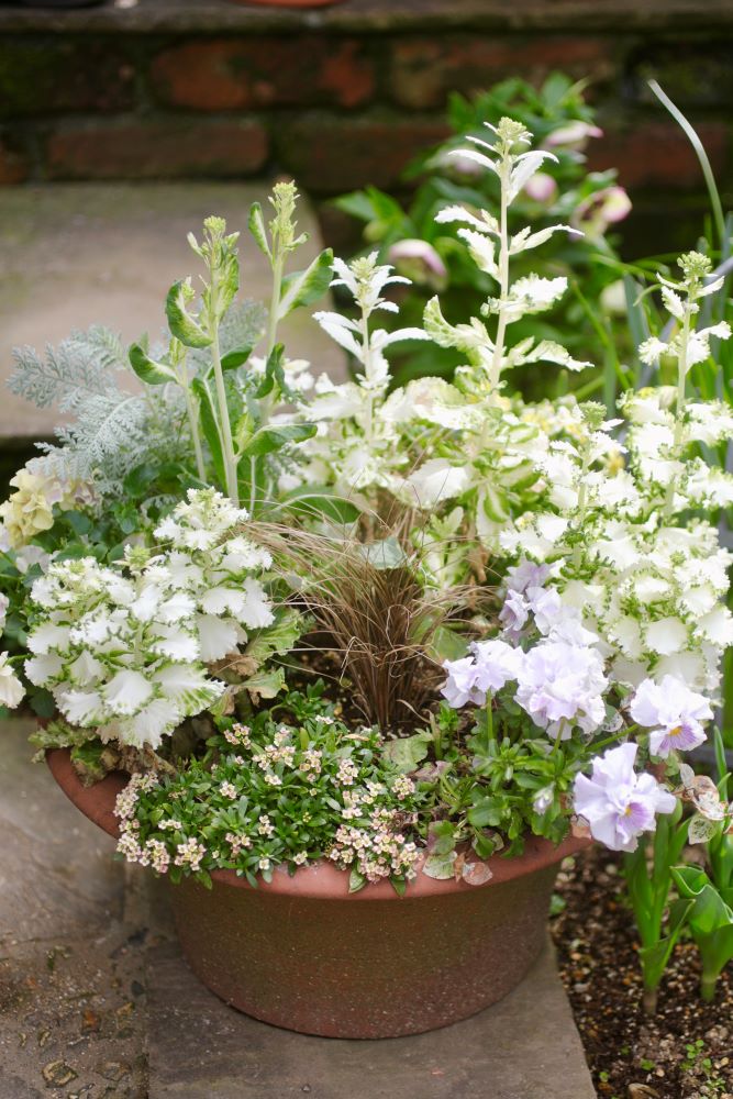 玄関に置くだけで気分も運気もアップ！ 黄色が主役の「金運カラー寄せ