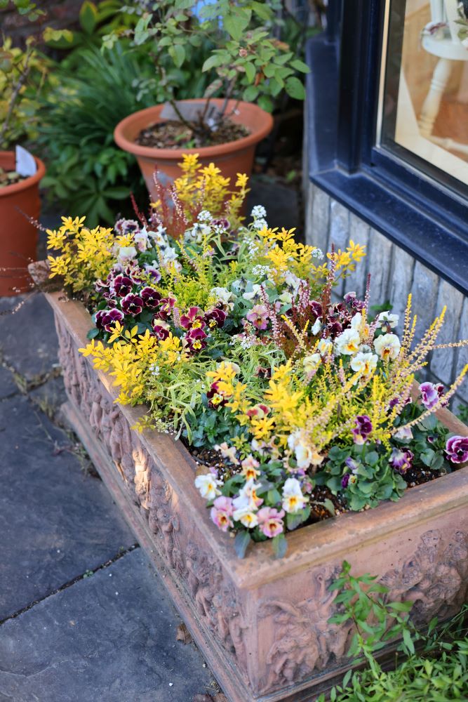 玄関に置くだけで気分も運気もアップ！ 黄色が主役の「金運カラー寄せ