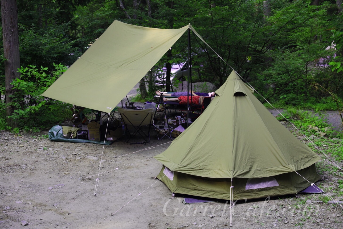 さうす】ノルディスク会員限定 アスガルド7.1・カーリ12セット