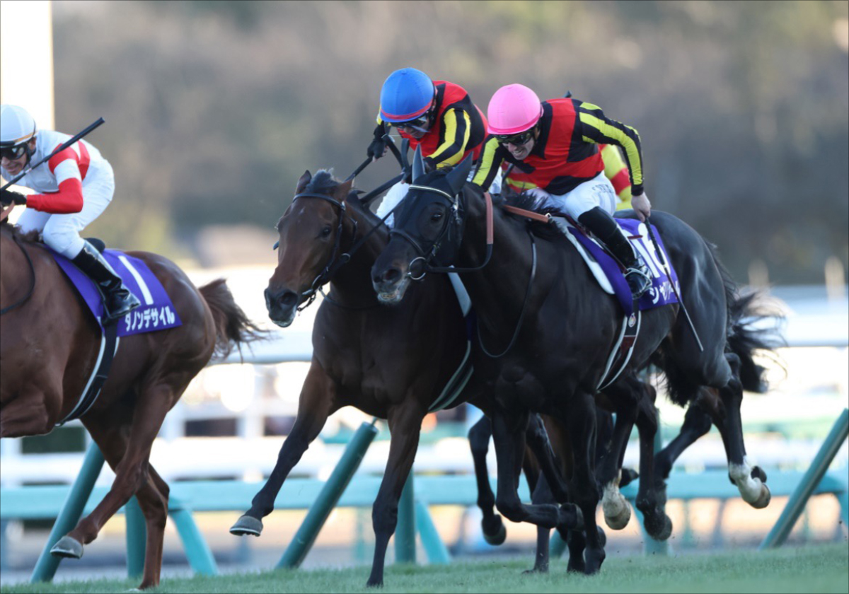 宝塚記念】半世紀前の優勝馬を襲った「悲劇」…ドウデュースに全幅の