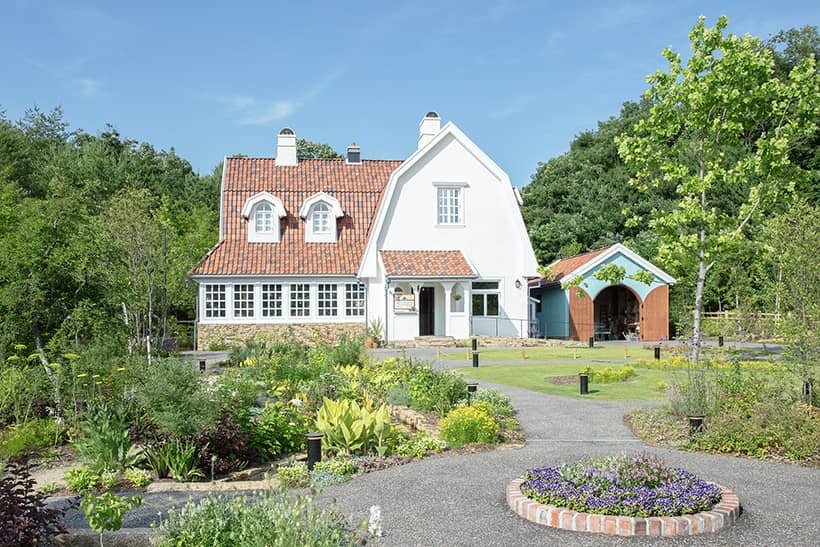 Valley of Witches｜GHIBLI PARK