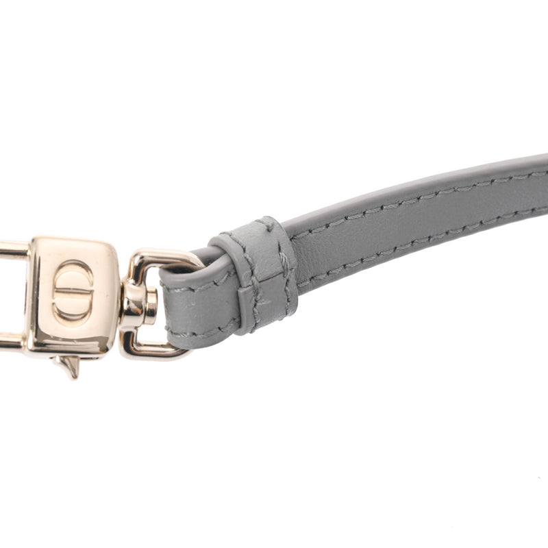 クリスチャンディオールレディディオール マイクロ バニティ 2WAY