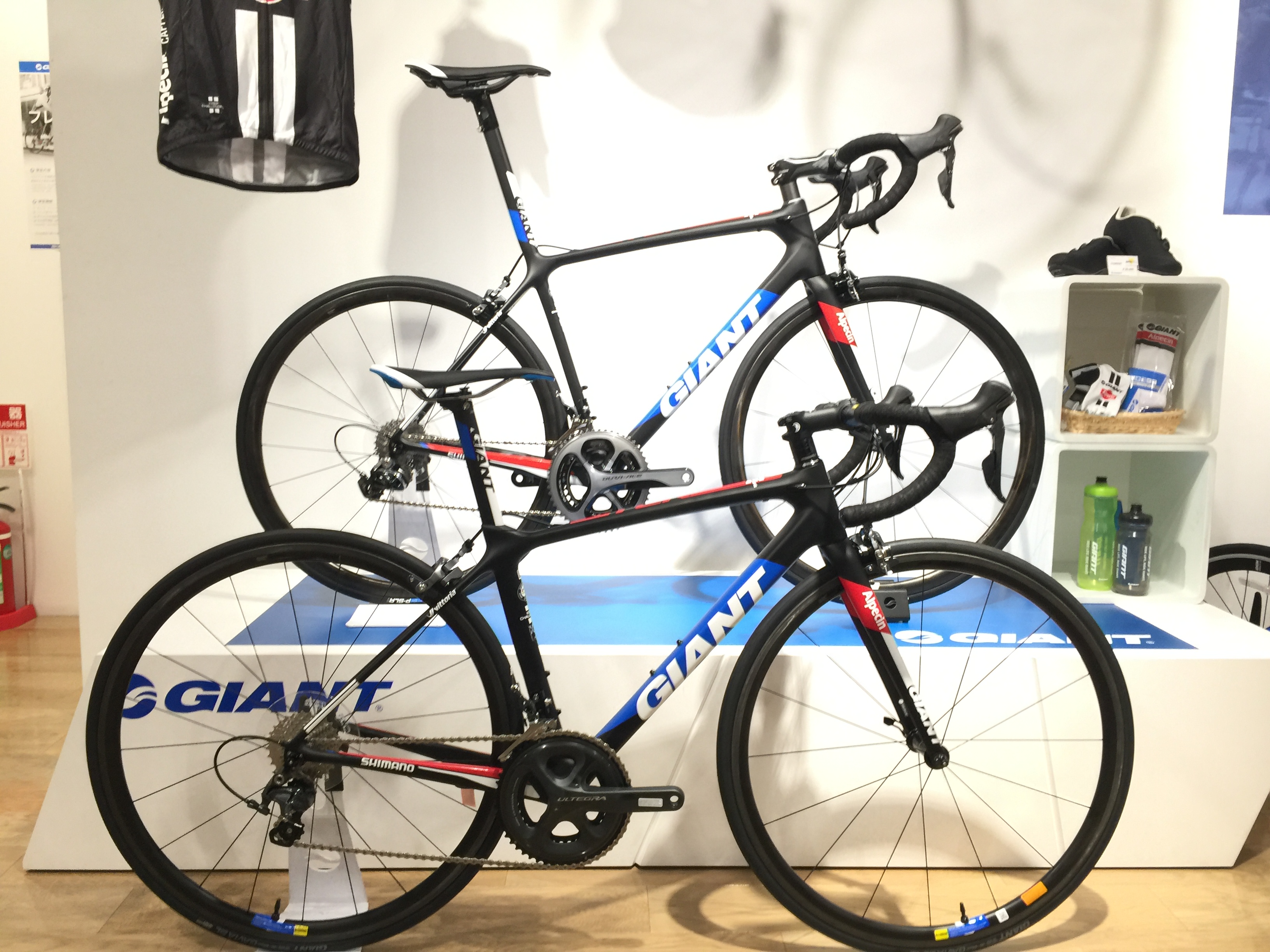 TCR ADVANCED SL TEAM入荷しました！ ｜ ジャイアントストア神戸