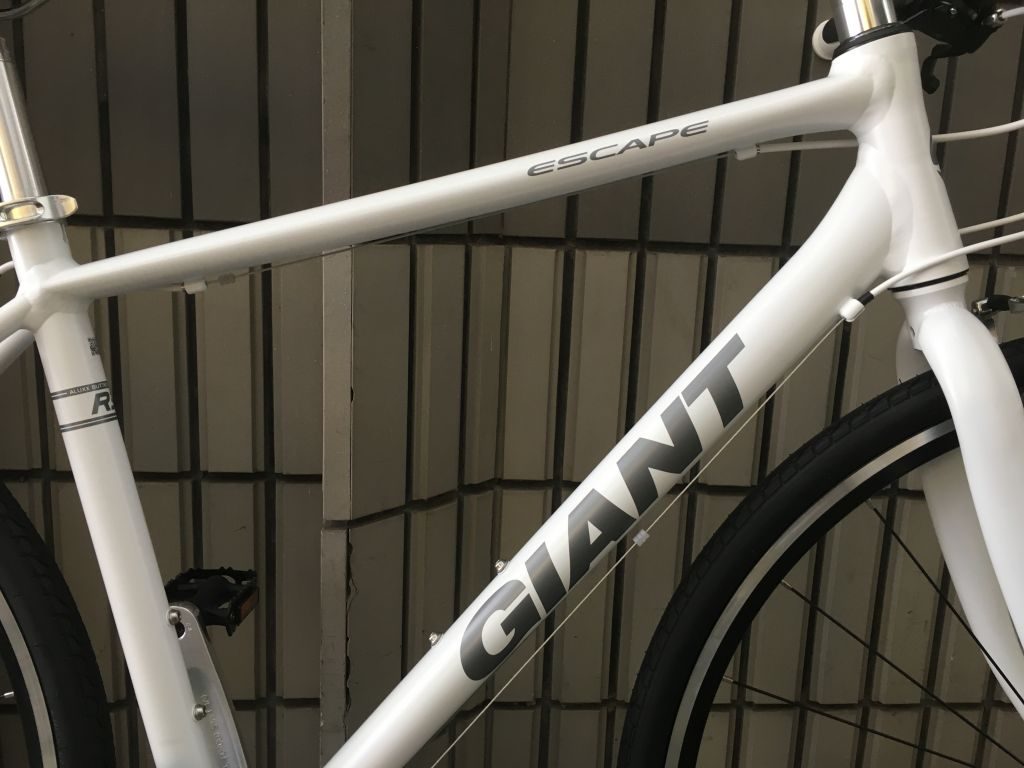 2019モデル ESCAPE R3 ホワイト入荷しました！ ｜ ジャイアントストア国立