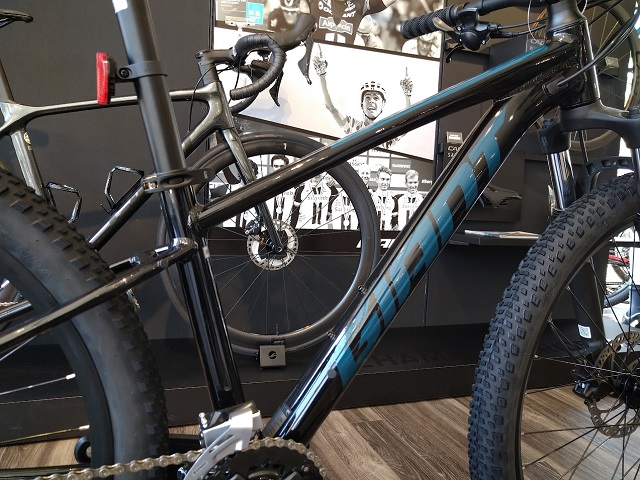 入荷情報（TALON2） ｜ ジャイアントストア岡山