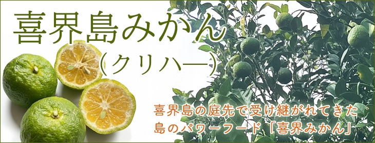花良治みかん 2点セット 花良治みかん2kg【A・B品詰め合わせ