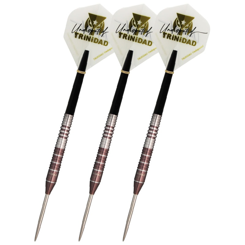 トリニダード キッド2 アンディスピューティド 後藤智弥 スティール