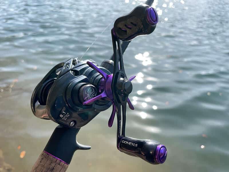 オーバーホール済み】 タトゥーラTW/ゴメクサスバンドル