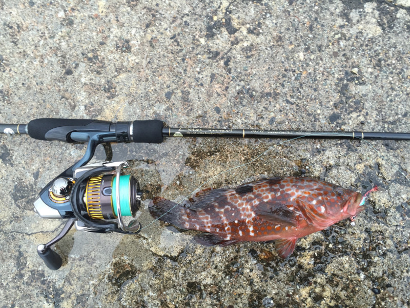 ブルーカレント76TZのインプレ！ライトゲームのプラッギングにピッタリ