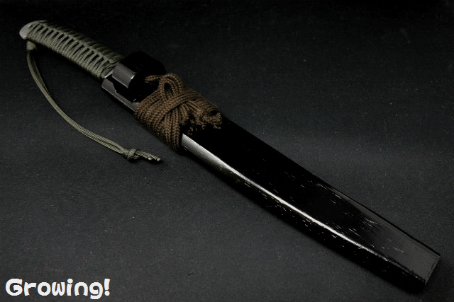 ナイフショップ グローイング！□佐治武士【さじ たけし】□ 武蔵 【8