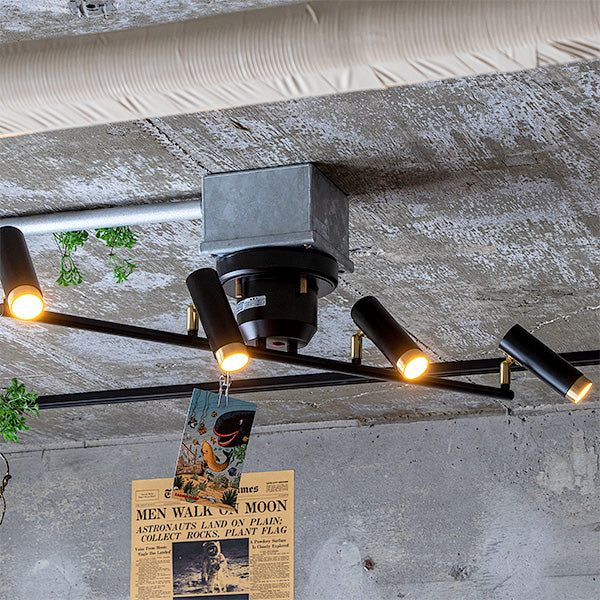 4灯 LEDシーリングライト ノーシュ