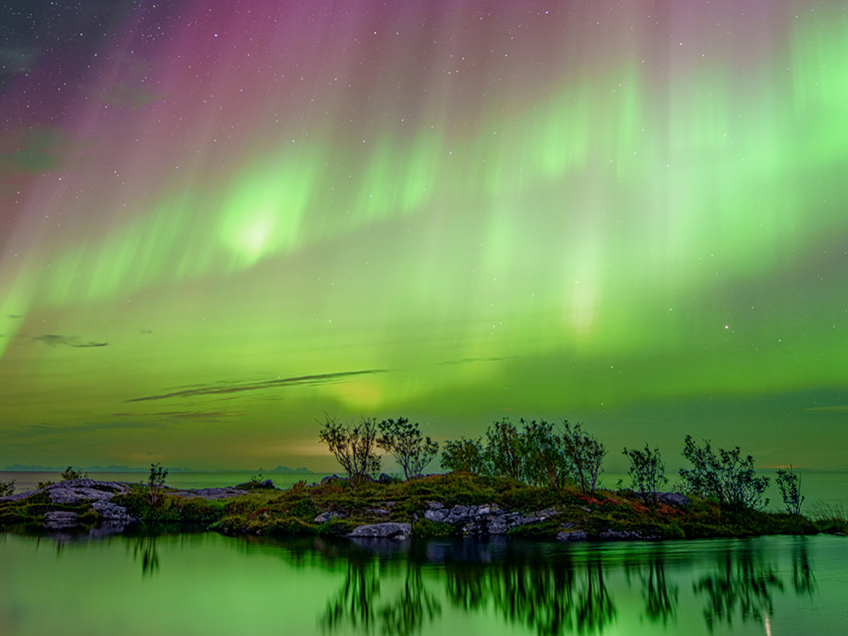 なんて綺麗なの」「夢の世界のよう」 プロがとらえた『幻想的な1枚