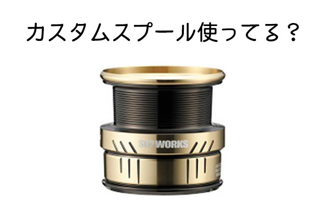 お得すぎる替えスプール「SLPW LT TYPE-αスプール」はもう使ってる