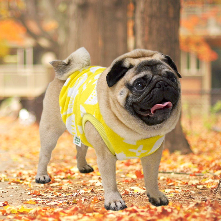 キイロイトリのフリースタンクトップ / HANAPECHA YA(はなペチャ家)