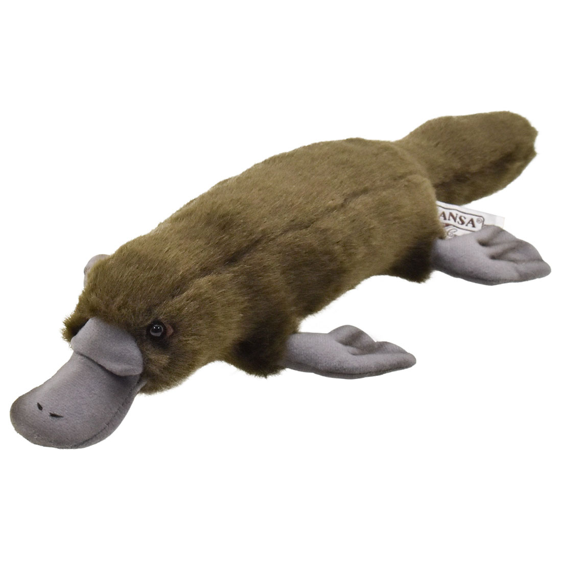 カモノハシ 40 | HANSA