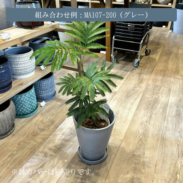 エバーフレッシュ 5号 – 鉢人