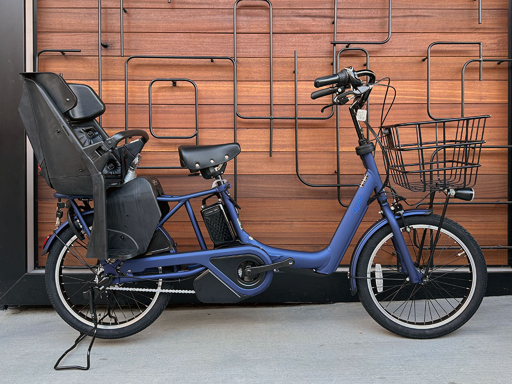 上杉本店】ギュットアニーズDX 押し歩き（BE-FAW031/パナソニック/電動