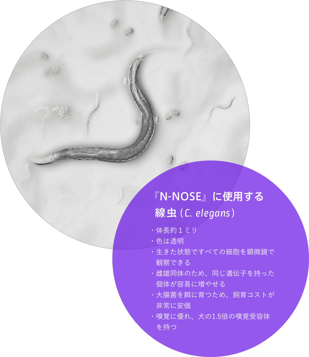 HIROTSUバイオサイエンス | 線虫がん検査に関する世界最先端の線虫行動