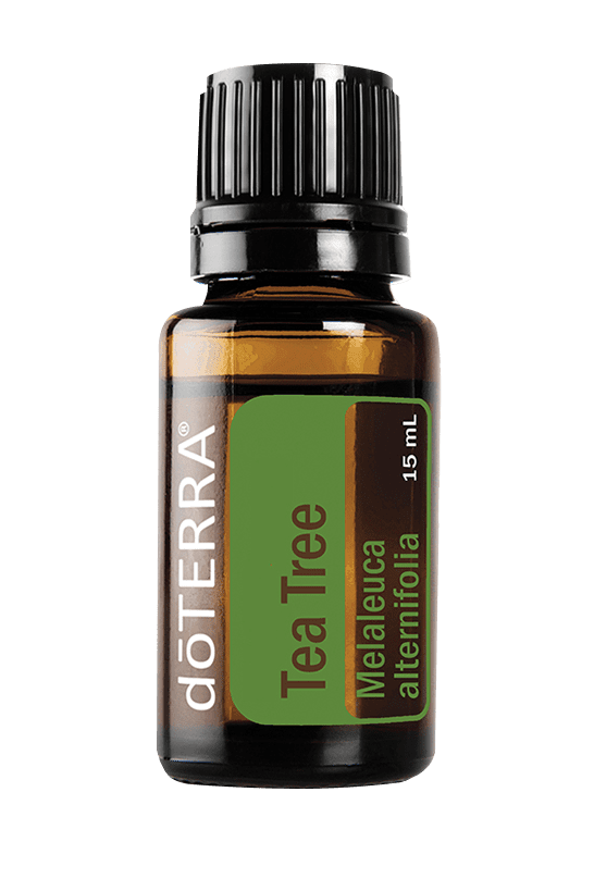 doTerra Tea Tree Oil - 15ml — Hi Brazil Market