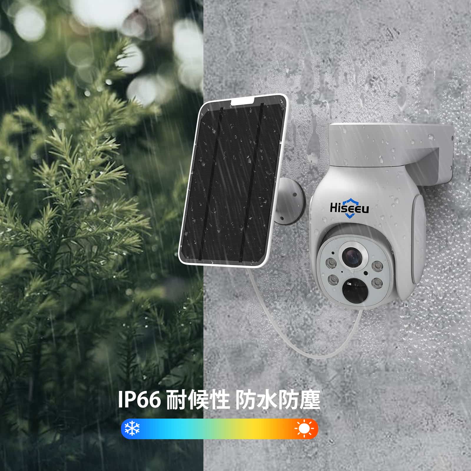 WTD403_6.jpg?v=1723199550&