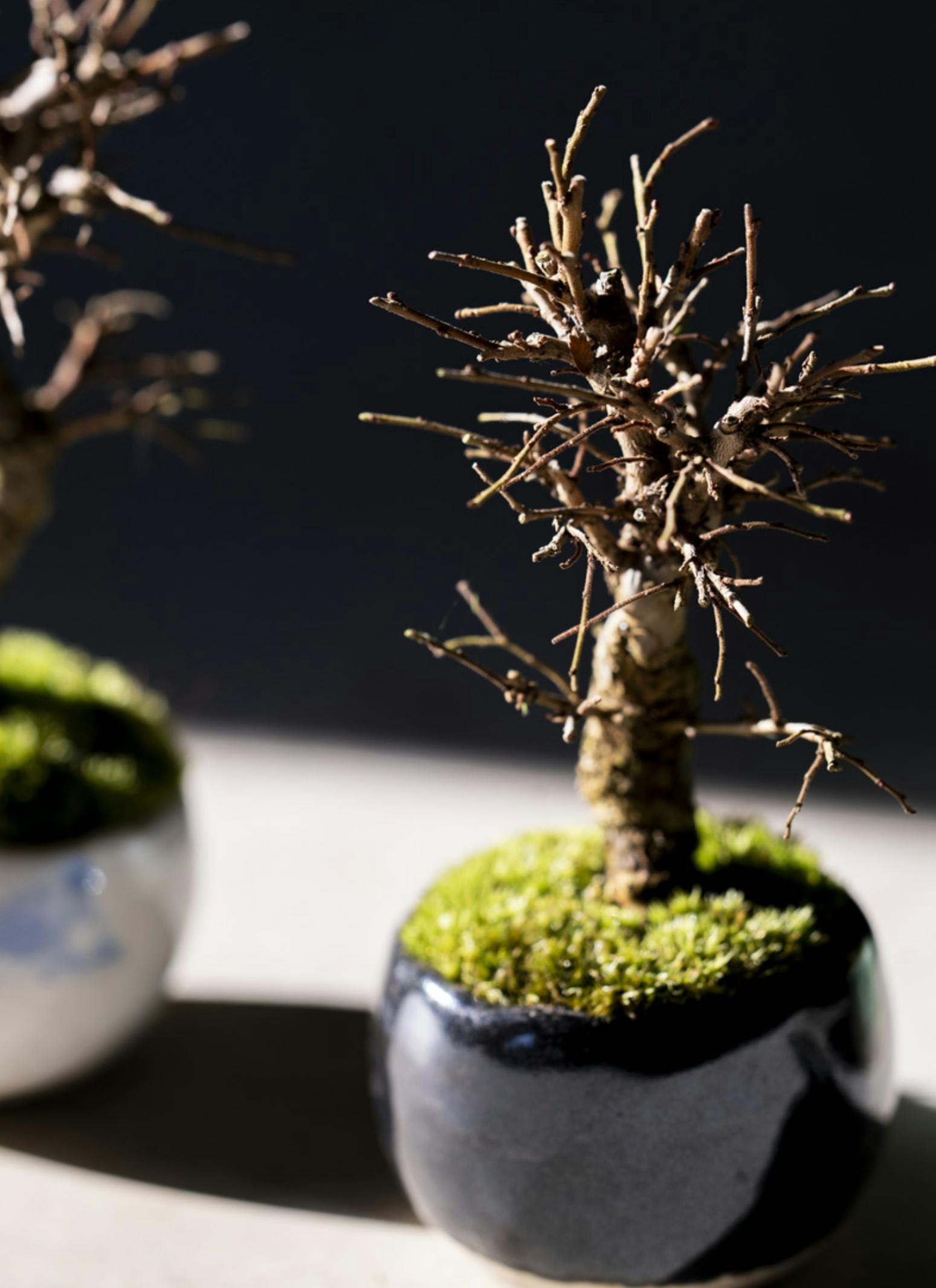 宜興紫砂鉢 四方抽角鉢 盆栽鉢 植木鉢 小品盆栽鉢 大品盆栽