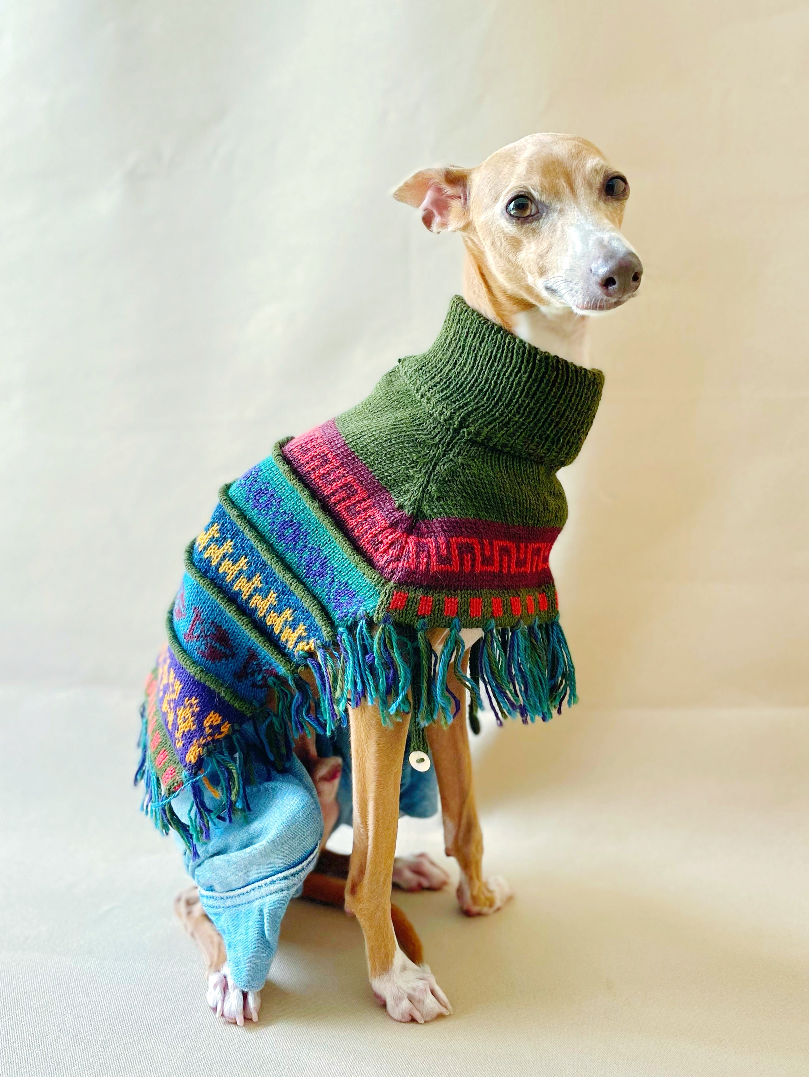 IMG_7194.jpg?v=1694051946&