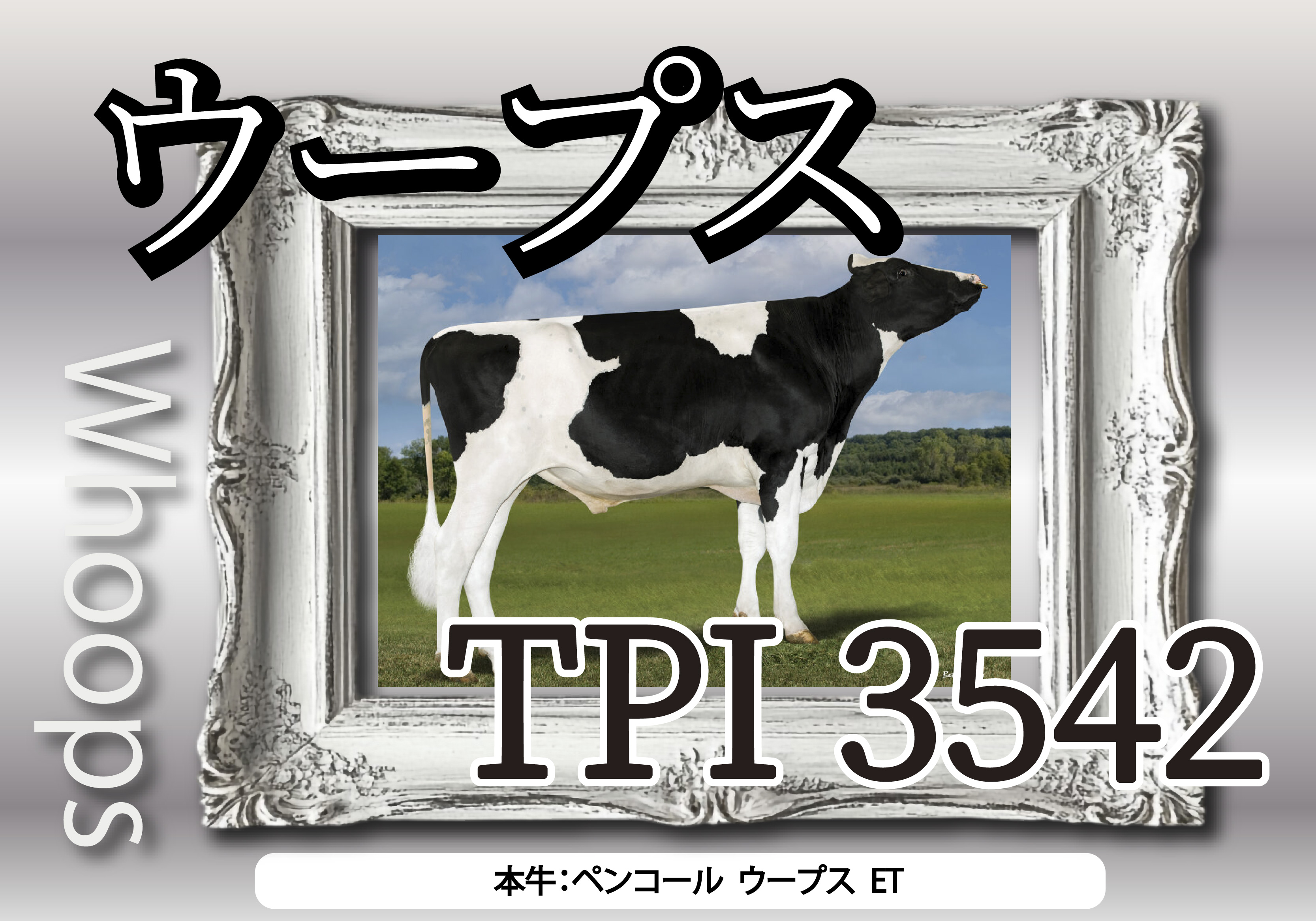イノベーションジェネティクスジャパン 株式会社