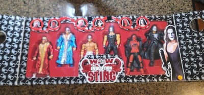 ToyBiz WCW The Evolution of Sting Wrestling Action Figures Set