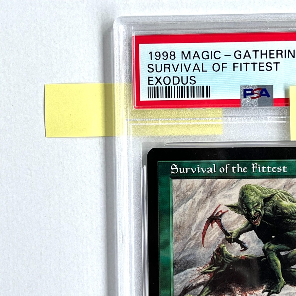 MTG 英語 適者生存 Survival of the Fittest mtg 適者生存 Amazon.co