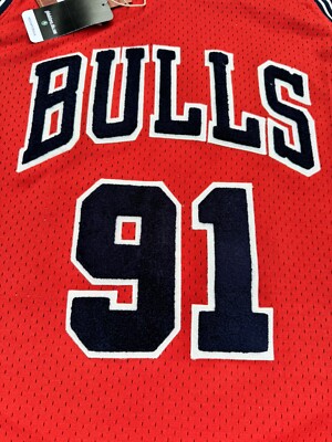 Dennis Rodman Chicago Bulls Mitchell & Ness Off-Court Swingman