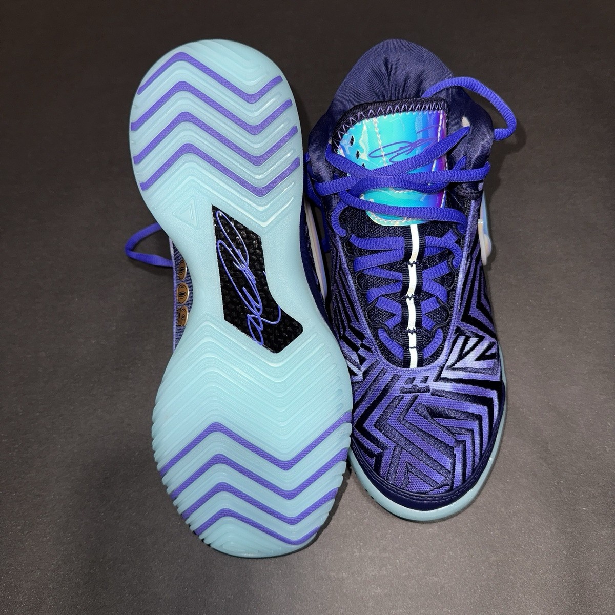 Nike LeBron NXXT Genisus QS Unisex Basketball Shoes Violet/White