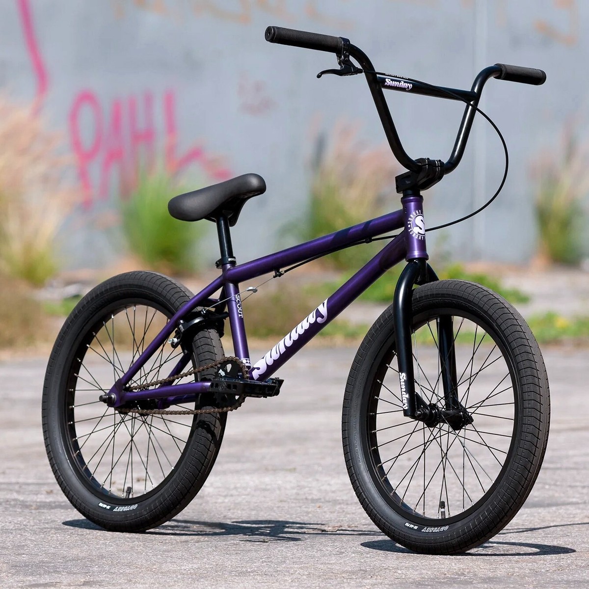 希少パープルカラー】プロファイルレーシング36t ピストbmx fgfs 希少