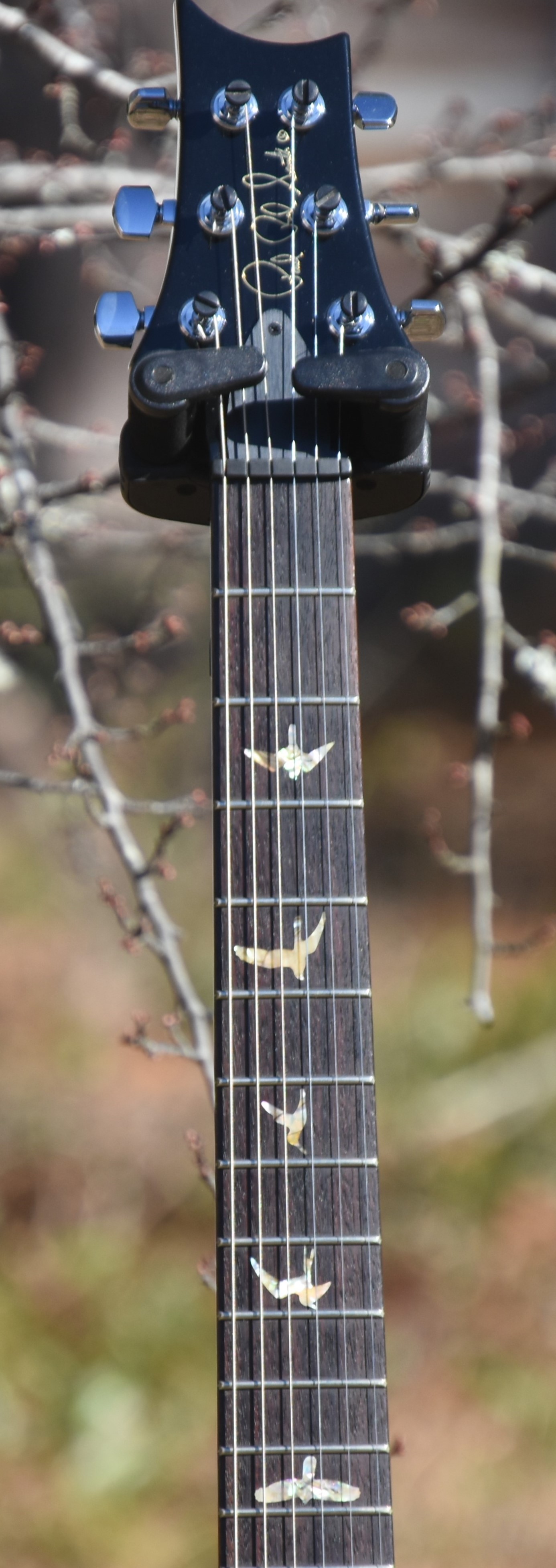 Sold - FS: 2007 PRS Custom 22 10 top Price Drop | Rig-Talk