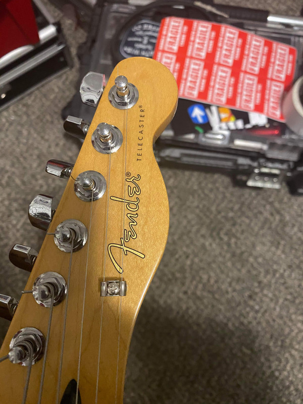 NGD: Warmoth/Fender '72 Thinline Tele partscaster | Telecaster