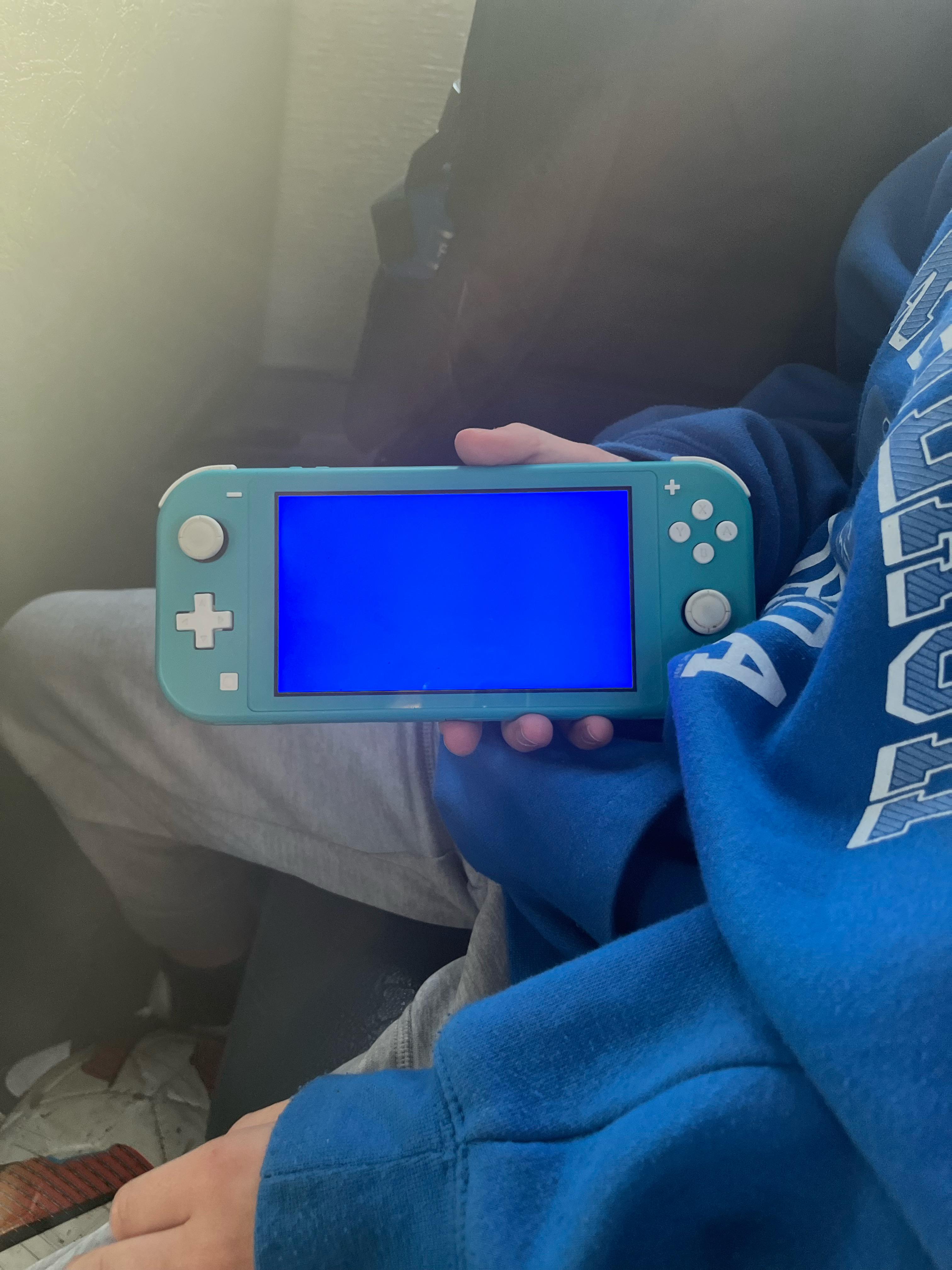 Switch Liteでブルースクリーン : r/Switch