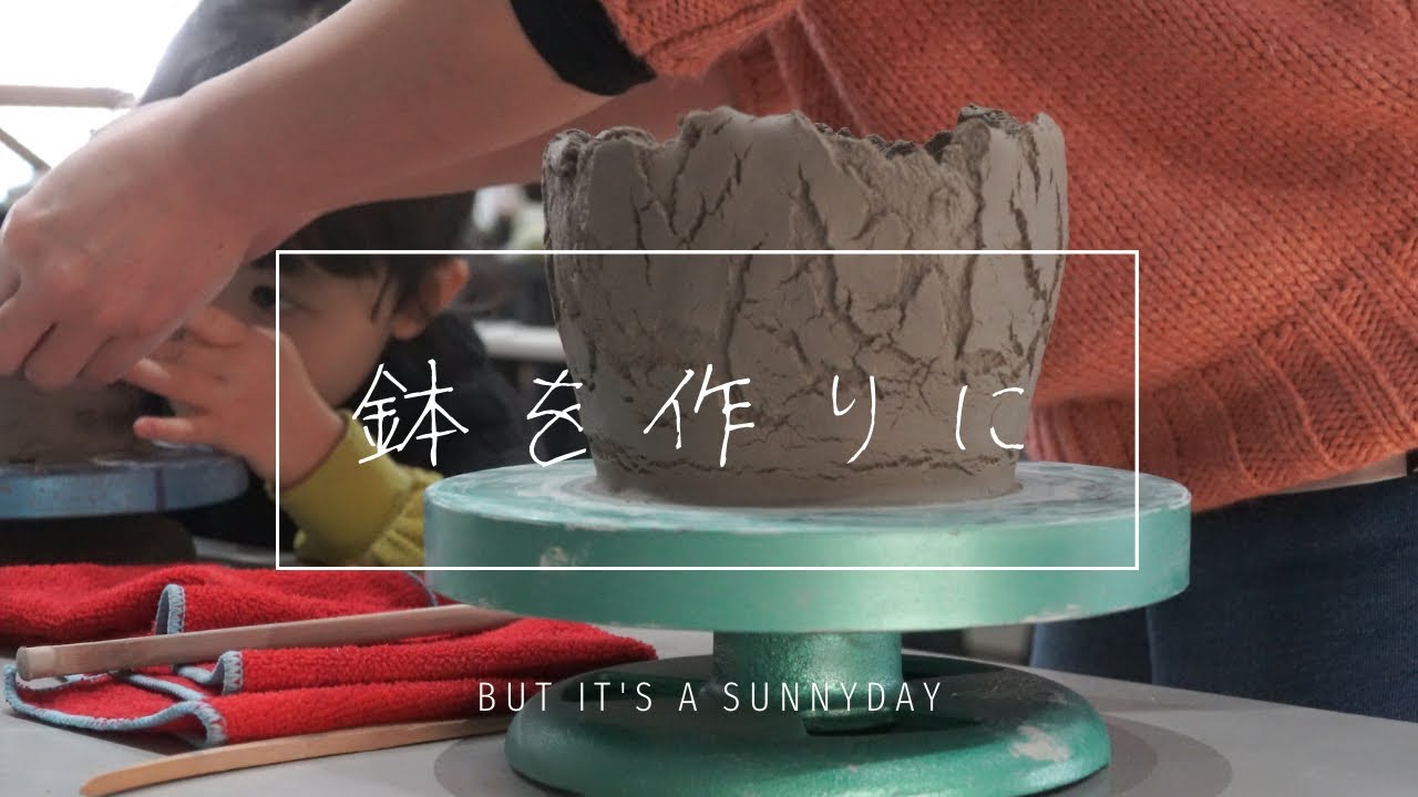 グラキリスの鉢を作ろう】塊根植物の陶器鉢を作りに鶴仙園でも人気の