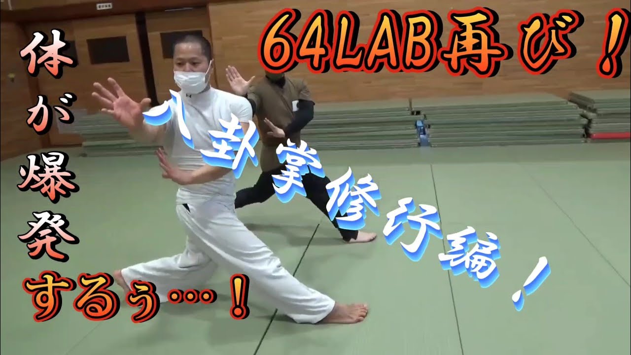 中国武術 錘 防犯 中国武術 錘 防犯 中国武術 錘 防犯