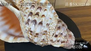 金峰山寺 山伏歌口木製法螺貝 ほら貝 ホラ貝 - YouTube